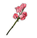 persona-2-flower-img